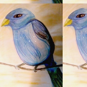 Indigo bunting-ed