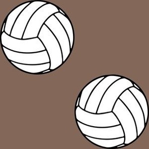  Three Inch Black and White Sports Volleyball Balls on  Taupe Brown