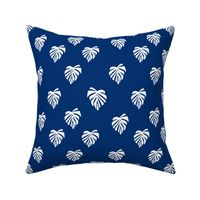 leaf // leaves tropical monstera plant palm springs vacation blue