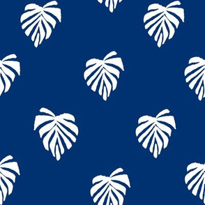 leaf // leaves tropical monstera plant palm springs vacation blue