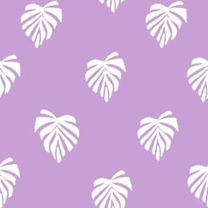 leaf // leaves tropical monstera plant palm springs vacation lilac