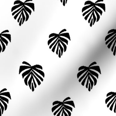 leaf // leaves tropical monstera plant palm springs vacation black white