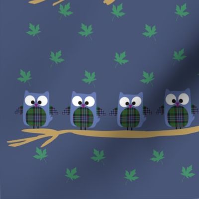 Scottish Owl Family