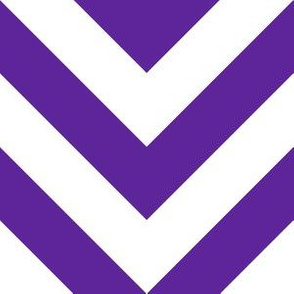 Six Inch Purple and White Chevron Stripes