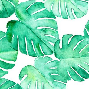 watercolor monstera leaf (90)