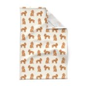 toy poodle fabric toy poodles design dog poodle fabric - cream
