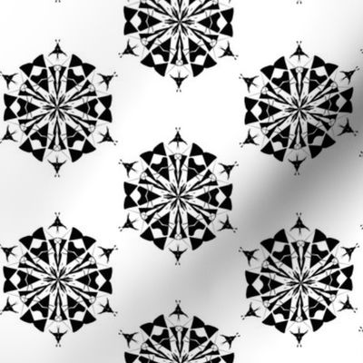 Hexagon Carousel in Black and White