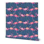 flamingos on steel blue