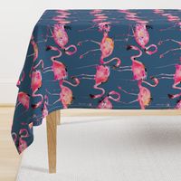 flamingos on steel blue