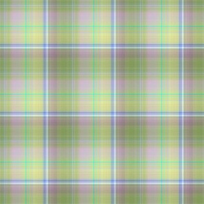 DREAMY UNICORN PLAID SWEETS CANDY sage green