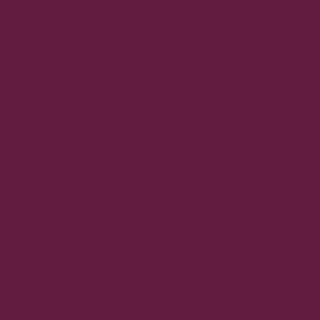 Solid Plum Purple (#5f1c3f)