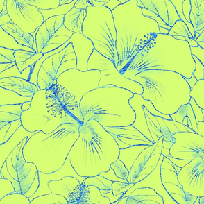Hibiscus Sketch Lime 150