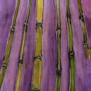 violet bamboo