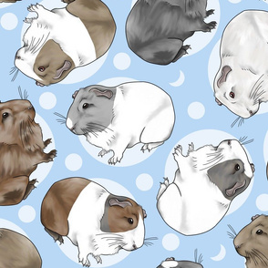 Guinea pigs and moon dots - large blue