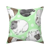 Guinea pigs and moon dots - large green