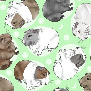 Guinea pigs and moon dots - large green