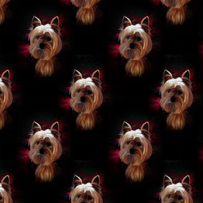 Yorkie -Bink Portrait