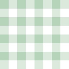 Plain Gingham in Peppermint