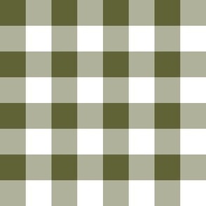 Plain Gingham in Olive