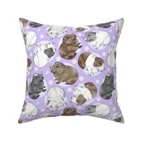 Guinea pigs and moon dots - medium purple