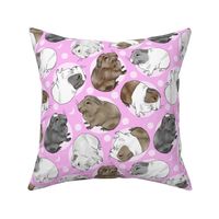 Guinea pigs and moon dots - medium pink