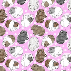 Guinea pigs and moon dots - medium pink