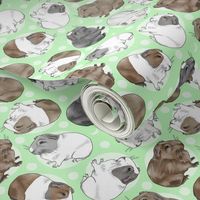 Guinea pigs and moon dots - medium green