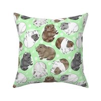 Guinea pigs and moon dots - medium green