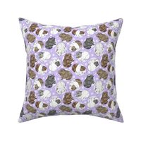 Guinea pigs and moon dots - small purple