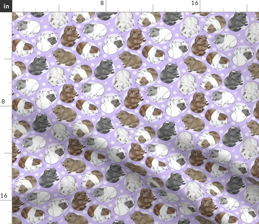 Guinea pigs and moon dots - small purple