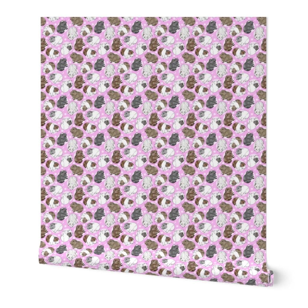 Guinea pigs and moon dots - small pink