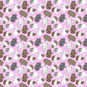 Guinea pigs and moon dots - small pink