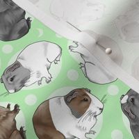 Guinea pigs and moon dots - small green