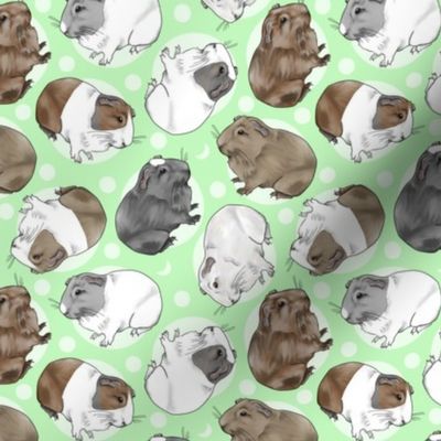 Guinea pigs and moon dots - small green