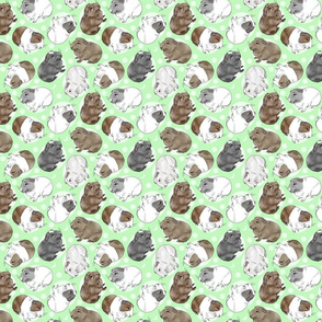 Guinea pigs and moon dots - small green