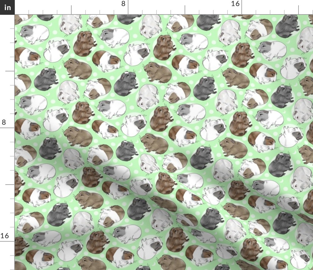 Guinea pigs and moon dots - small green