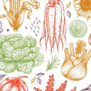 Autumn vegetables