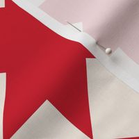 Red stars on cream: 6in mix and match