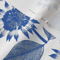 Flower Motif blue and white