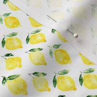 Sicilian lemons mini scale, watercolor