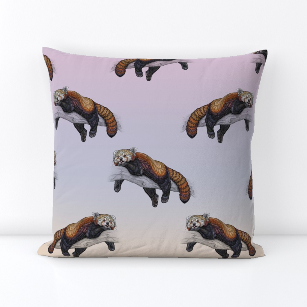   Red Pandas