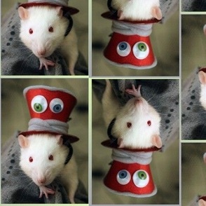 Fancy Rat with a Fancy Hat - The Mad Ratter