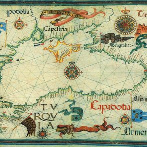 1559 Black Sea Map (54"W)