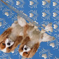 Cavalier King Charles Spaniel Fabric