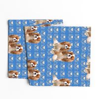 Cavalier King Charles Spaniel Fabric