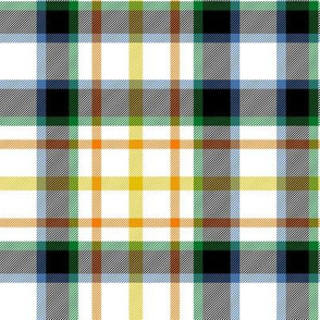 MacLaren dress tartan, 6" muted