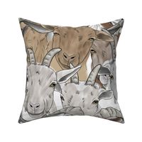 Goat herd faces - large