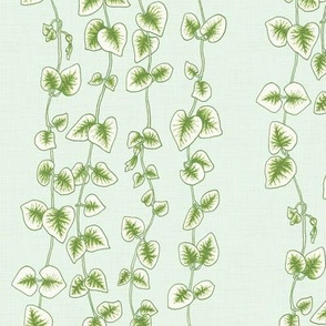 String of Hearts, Pale Green plant botanical succulent vine hand drawn house plant, rosary vine print