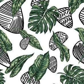 Tropical  & Graphic Elements