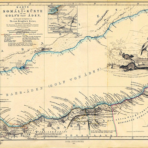 1860 Gulf of Aden Map (54"W)